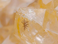 Natural Golden Limonite Quartz Specimens x 4 From Solwezi, Zambia