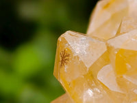 Natural Golden Limonite Quartz Specimens x 4 From Solwezi, Zambia