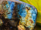 Polished Labradorite Standing Free Forms x 2 From Tulear, Madagascar