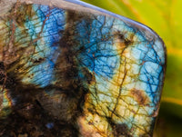 Polished Labradorite Standing Free Forms x 2 From Tulear, Madagascar