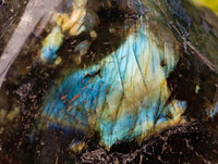 Polished Labradorite Standing Free Forms x 2 From Tulear, Madagascar