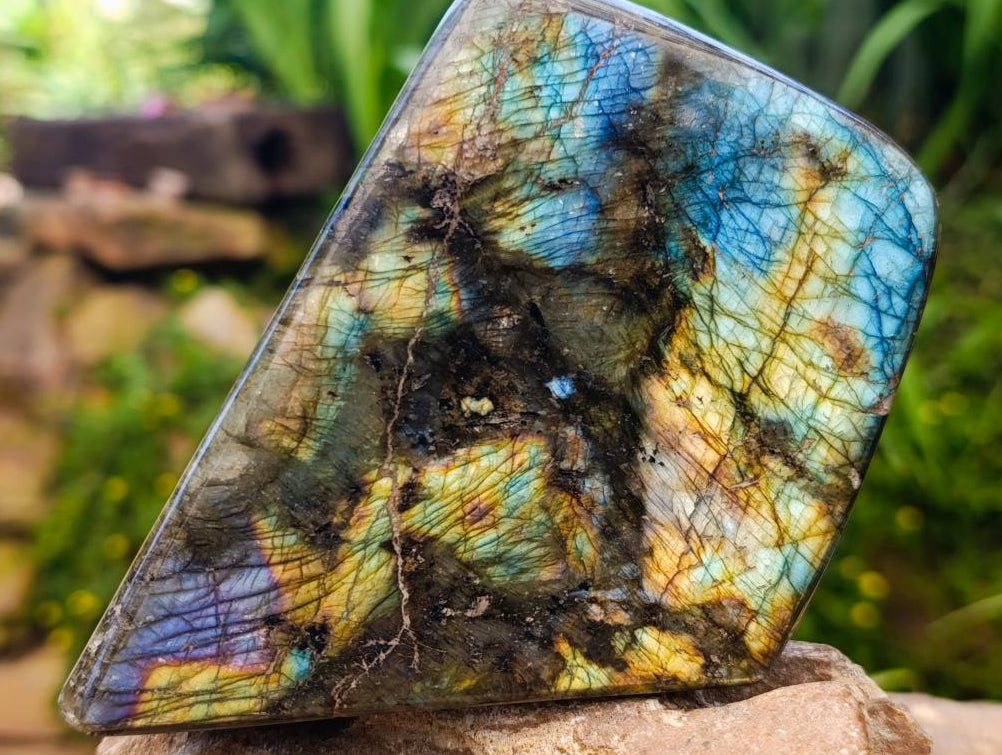 Polished Labradorite Standing Free Forms x 2 From Tulear, Madagascar