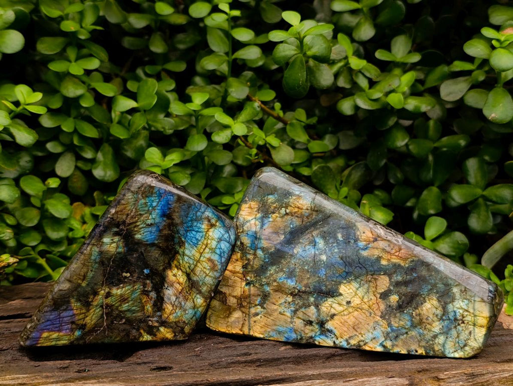 Polished Labradorite Standing Free Forms x 2 From Tulear, Madagascar