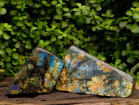 Polished Labradorite Standing Free Forms x 2 From Tulear, Madagascar