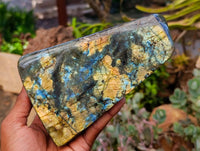 Polished Labradorite Standing Free Forms x 2 From Tulear, Madagascar