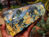 Polished Labradorite Standing Free Forms x 2 From Tulear, Madagascar