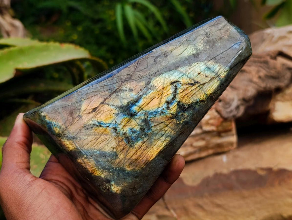 Polished Labradorite Standing Free Forms x 2 From Tulear, Madagascar