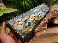 Polished Labradorite Standing Free Forms x 2 From Tulear, Madagascar