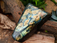 Polished Labradorite Standing Free Forms x 2 From Tulear, Madagascar