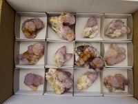 Natural Amethyst and Ametrine Spirit Clusters x 12 From Boekenhouthoek, South Africa