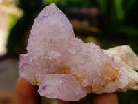 Natural Amethyst and Ametrine Spirit Clusters x 12 From Boekenhouthoek, South Africa