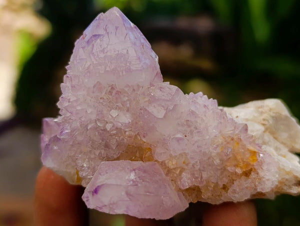 Natural Amethyst and Ametrine Spirit Clusters x 12 From Boekenhouthoek, South Africa