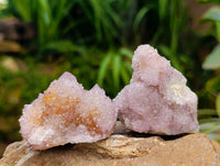 Natural Amethyst and Ametrine Spirit Clusters x 12 From Boekenhouthoek, South Africa