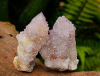 Natural Amethyst and Ametrine Spirit Clusters x 12 From Boekenhouthoek, South Africa