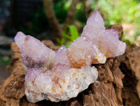 Natural Amethyst and Ametrine Spirit Clusters x 12 From Boekenhouthoek, South Africa