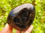 Polished Black Tourmaline Standing Free Forms x 3 From Madagascar