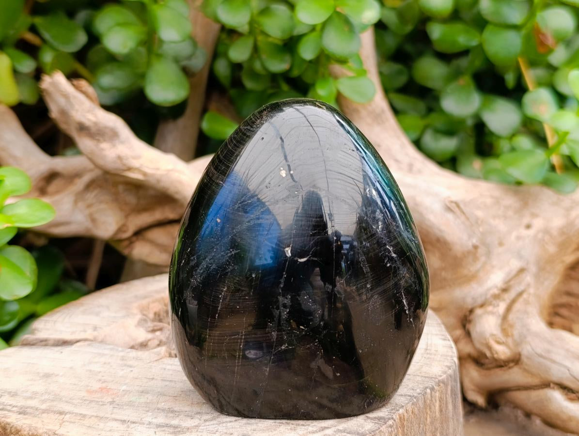 Polished Black Tourmaline Standing Free Forms x 3 From Madagascar