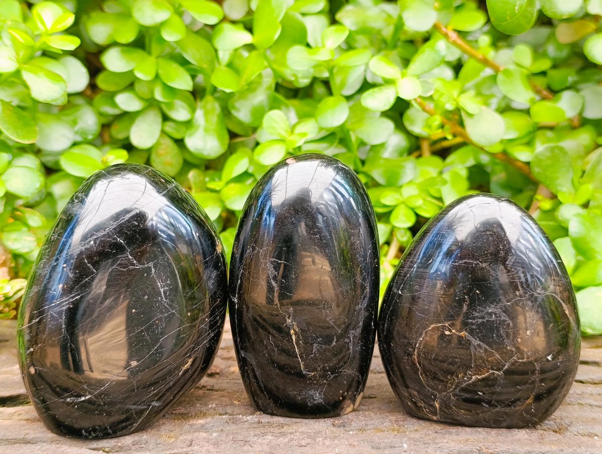 Polished Black Tourmaline Standing Free Forms x 3 From Madagascar