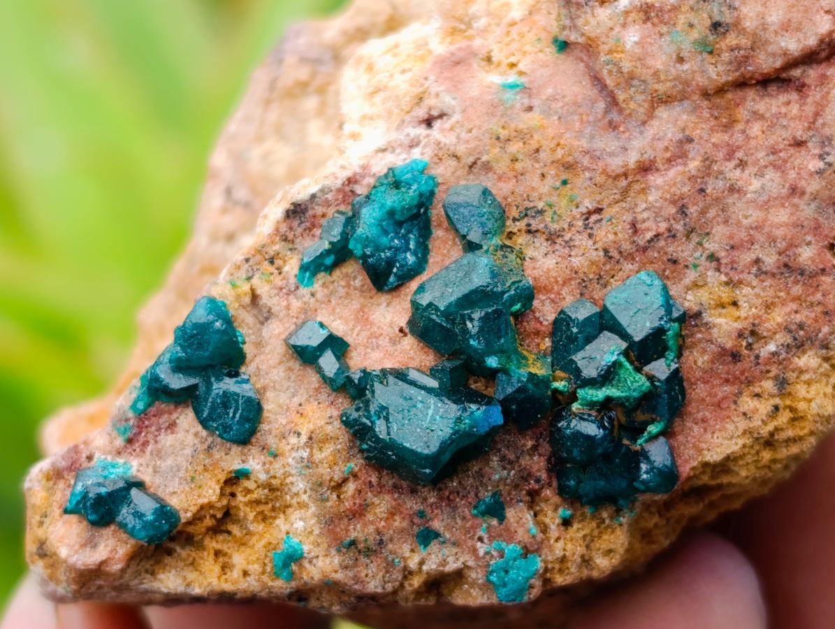 Natural Dioptase On Dolomite Specimens x 6 From Likasi, Congo