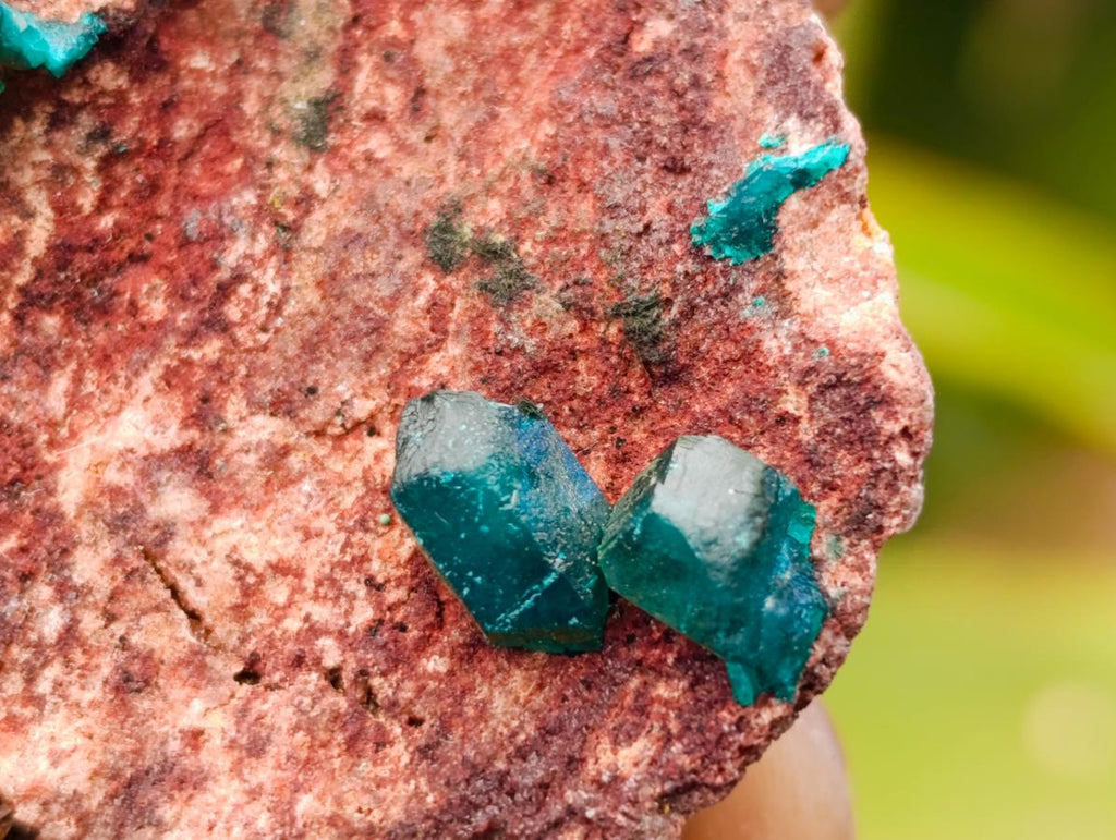 Natural Dioptase On Dolomite Specimens x 6 From Likasi, Congo