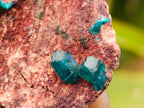 Natural Dioptase On Dolomite Specimens x 6 From Likasi, Congo