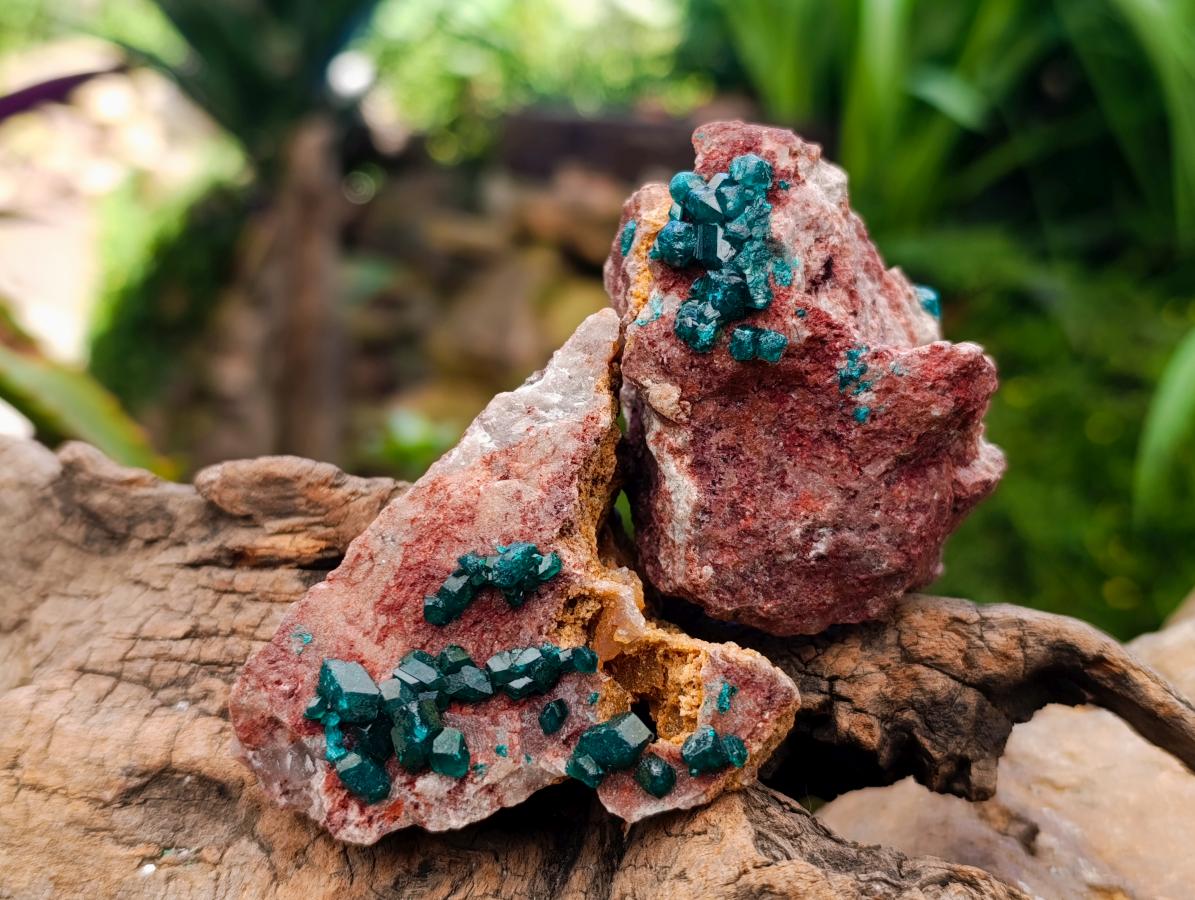 Natural Dioptase On Dolomite Specimens x 6 From Likasi, Congo