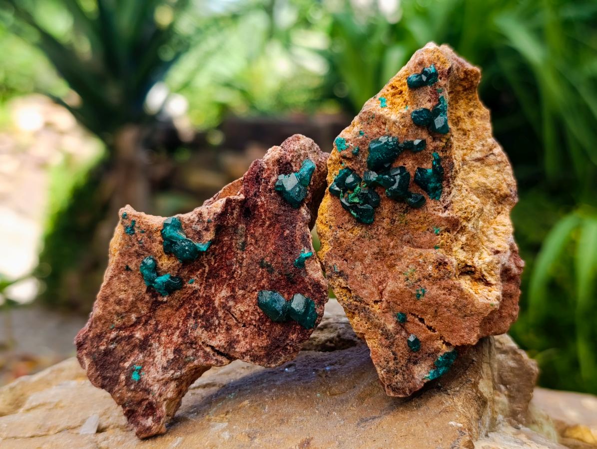 Natural Dioptase On Dolomite Specimens x 6 From Likasi, Congo