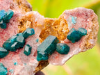 Natural Dioptase On Dolomite Specimens x 6 From Likasi, Congo