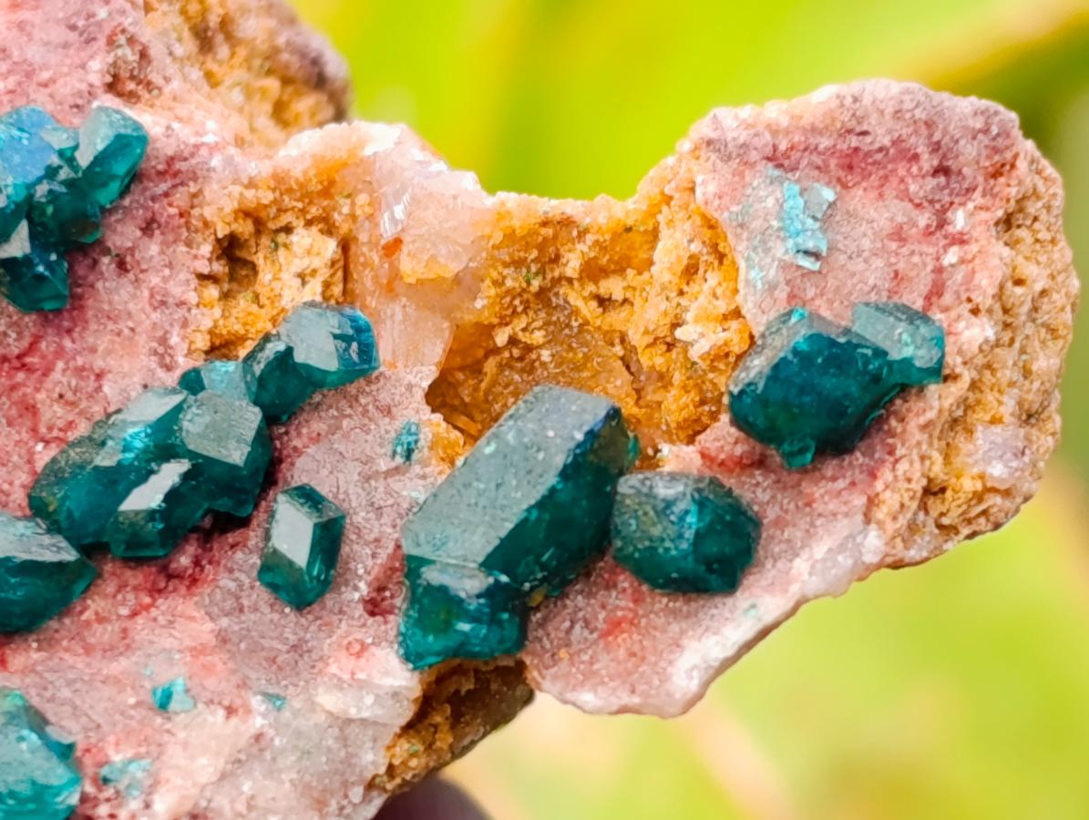 Natural Dioptase On Dolomite Specimens x 6 From Likasi, Congo