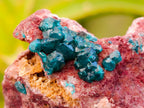 Natural Dioptase On Dolomite Specimens x 6 From Likasi, Congo