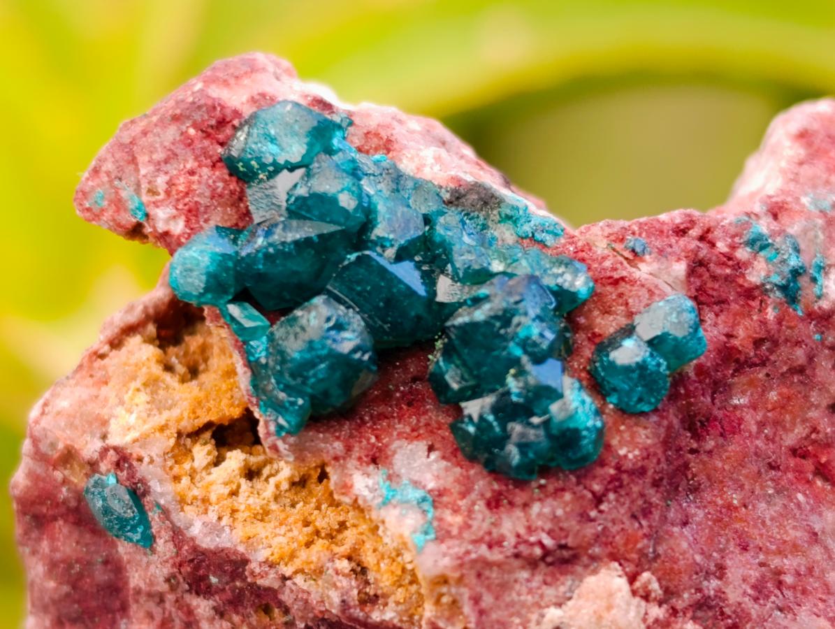 Natural Dioptase On Dolomite Specimens x 6 From Likasi, Congo