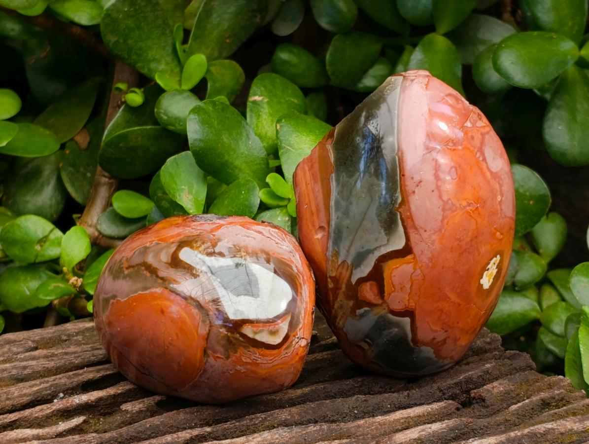 Polished On One Side Polychrome Jasper Nodules x 12 From NW Coast, Madagascar