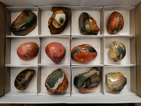 Polished On One Side Polychrome Jasper Nodules x 12 From NW Coast, Madagascar