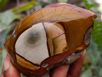 Polished On One Side Polychrome Jasper Nodules x 12 From NW Coast, Madagascar