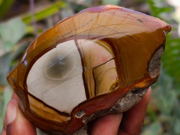 Polished On One Side Polychrome Jasper Nodules x 12 From NW Coast, Madagascar