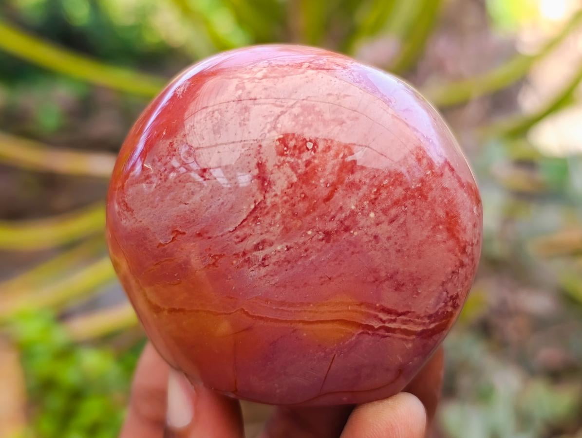 Polished On One Side Polychrome Jasper Nodules x 12 From NW Coast, Madagascar