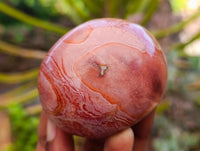 Polished On One Side Polychrome Jasper Nodules x 12 From NW Coast, Madagascar