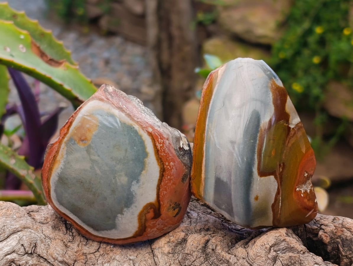 Polished On One Side Polychrome Jasper Nodules x 12 From NW Coast, Madagascar