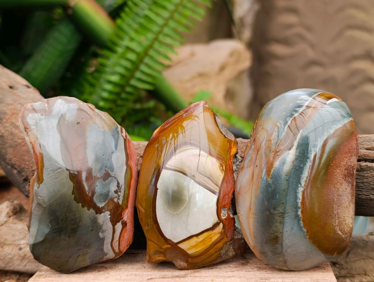 Polished On One Side Polychrome Jasper Nodules x 12 From NW Coast, Madagascar