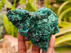 Natural Silky Malachite Specimens x 6 From Kasompe, Congo