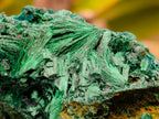 Natural Silky Malachite Specimens x 6 From Kasompe, Congo