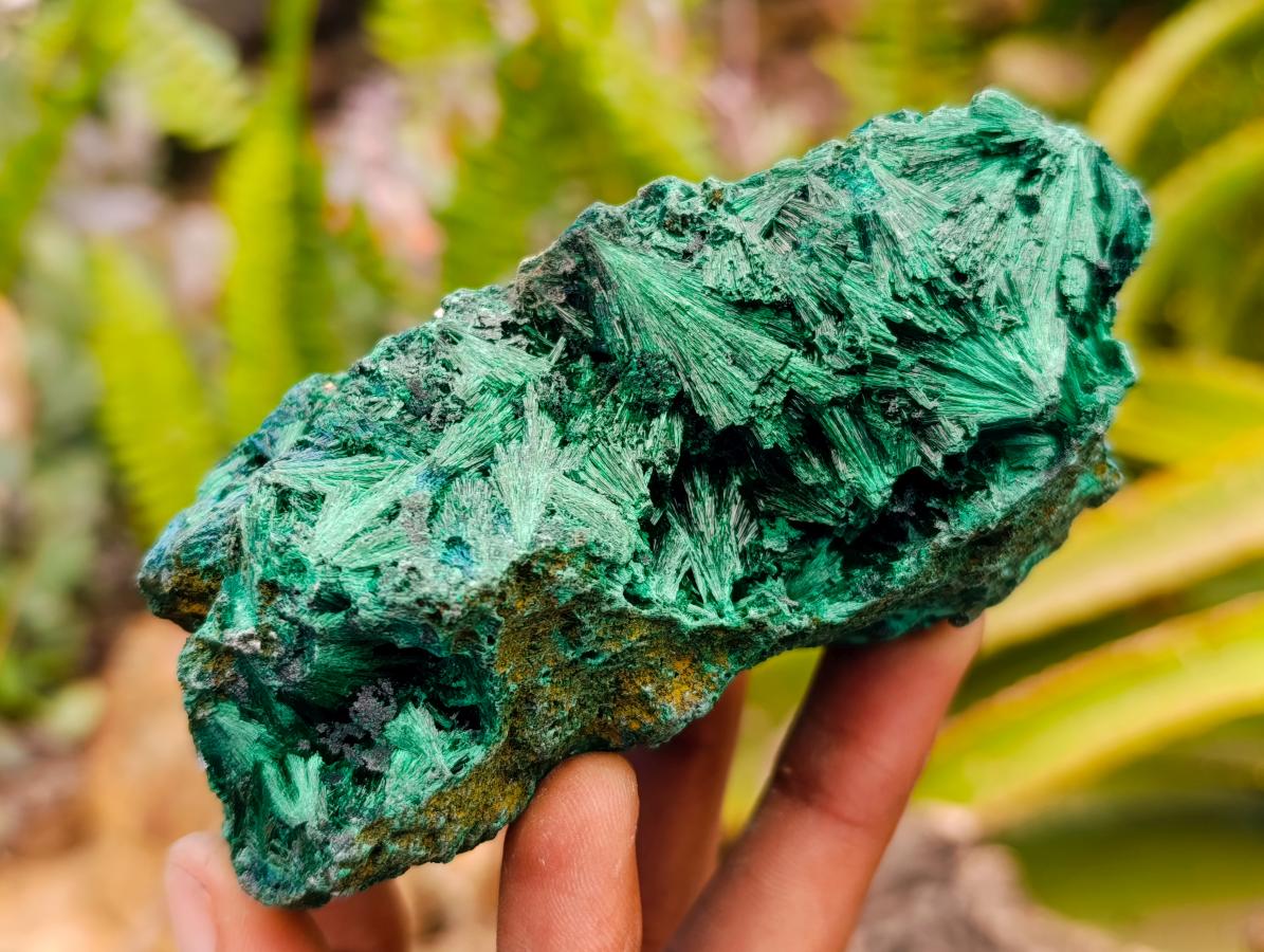 Natural Silky Malachite Specimens x 6 From Kasompe, Congo