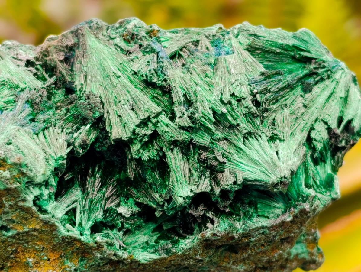 Natural Silky Malachite Specimens x 6 From Kasompe, Congo