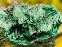 Natural Silky Malachite Specimens x 6 From Kasompe, Congo