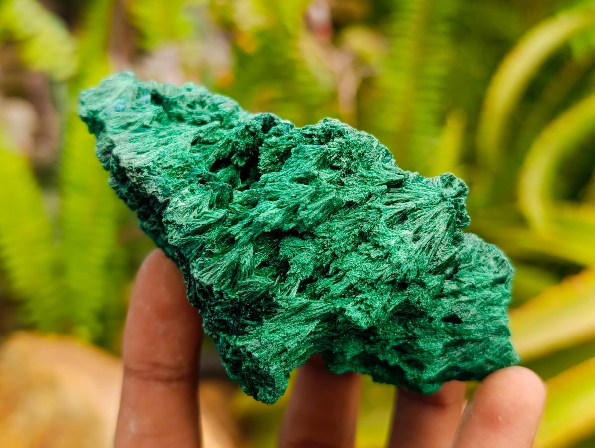 Natural Silky Malachite Specimens x 6 From Kasompe, Congo