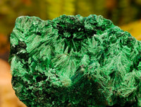 Natural Silky Malachite Specimens x 6 From Kasompe, Congo