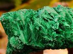 Natural Silky Malachite Specimens x 6 From Kasompe, Congo