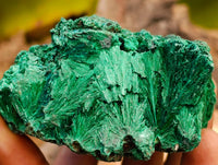 Natural Silky Malachite Specimens x 6 From Kasompe, Congo