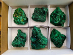 Natural Silky Malachite Specimens x 6 From Kasompe, Congo