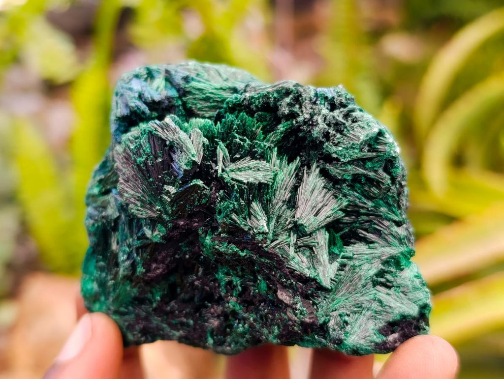 Natural Silky Malachite Specimens x 6 From Kasompe, Congo